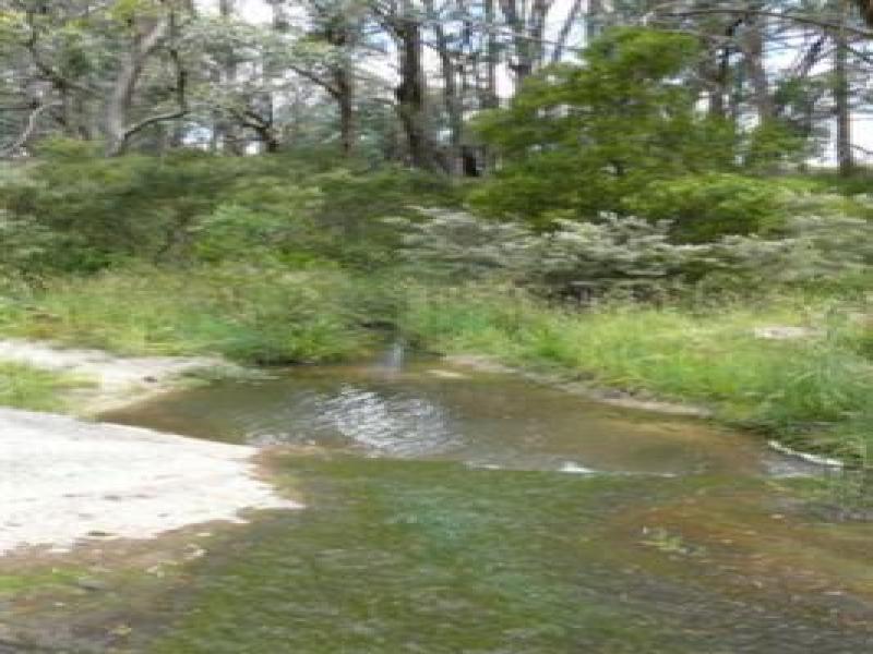Downstream