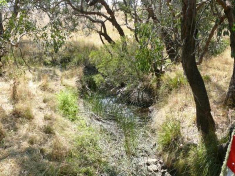 Upstream