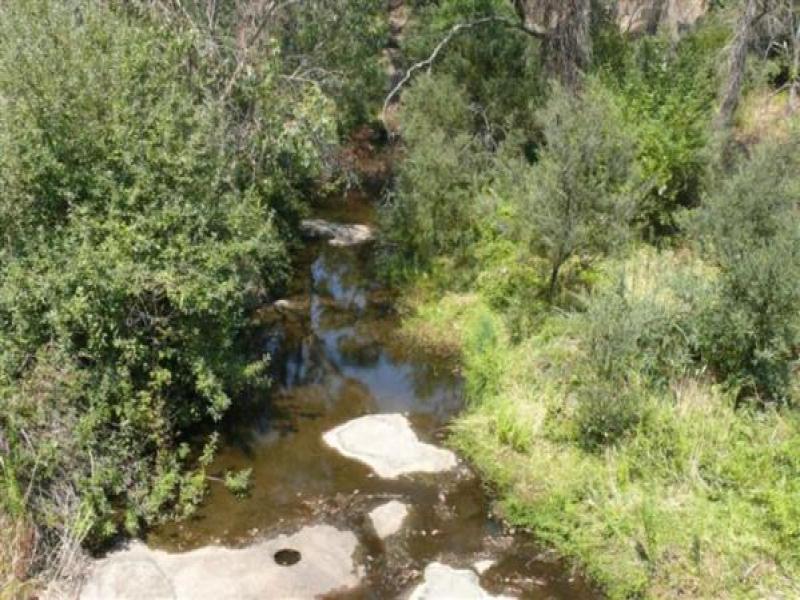 Upstream