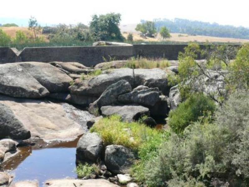 Upstream