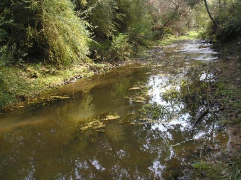 Downstream
