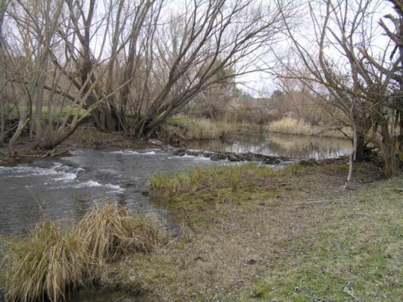 Upstream