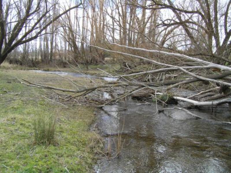 Downstream