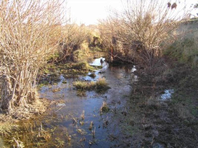 Downstream
