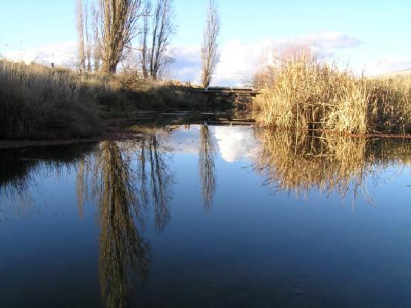 Upstream