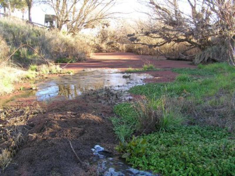 Downstream