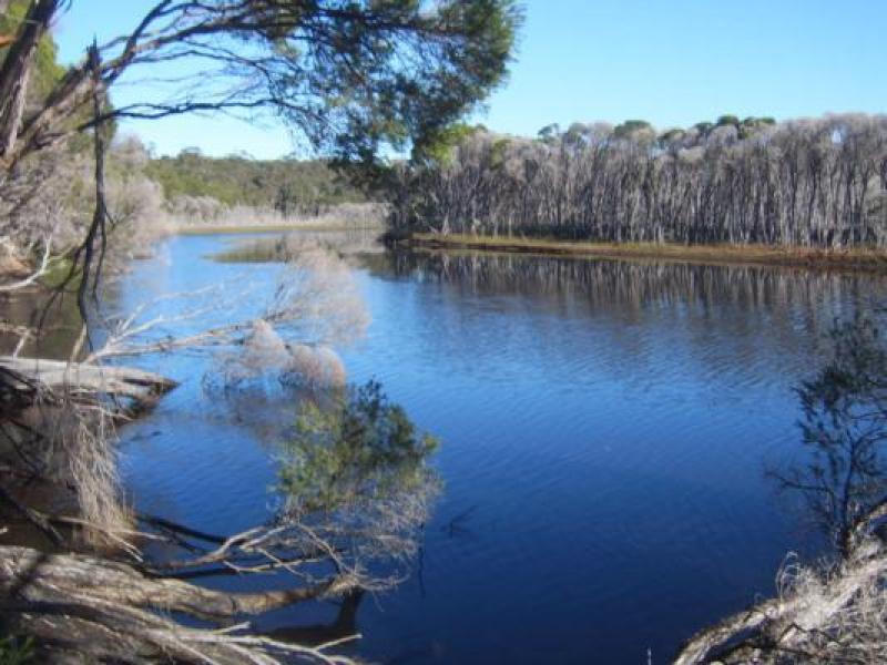 Upstream