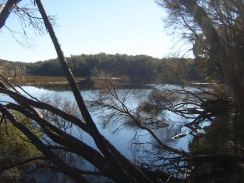 Downstream