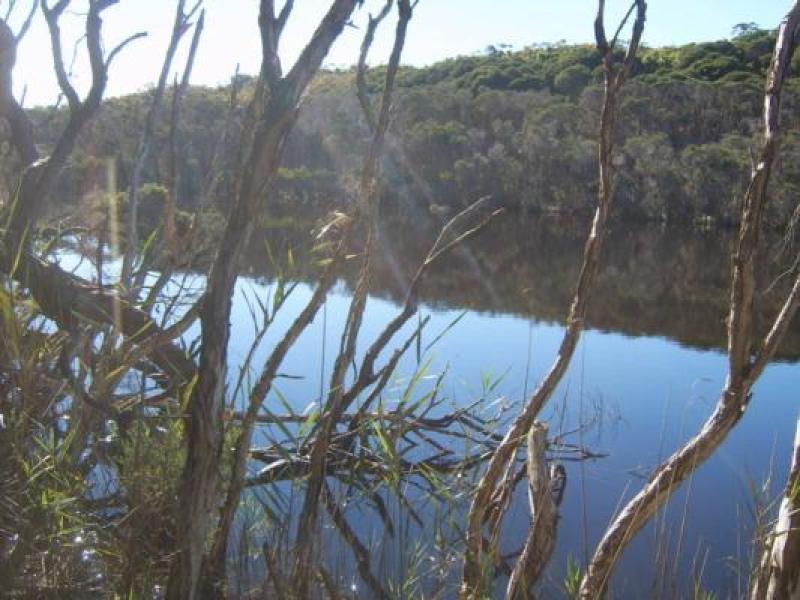 Upstream