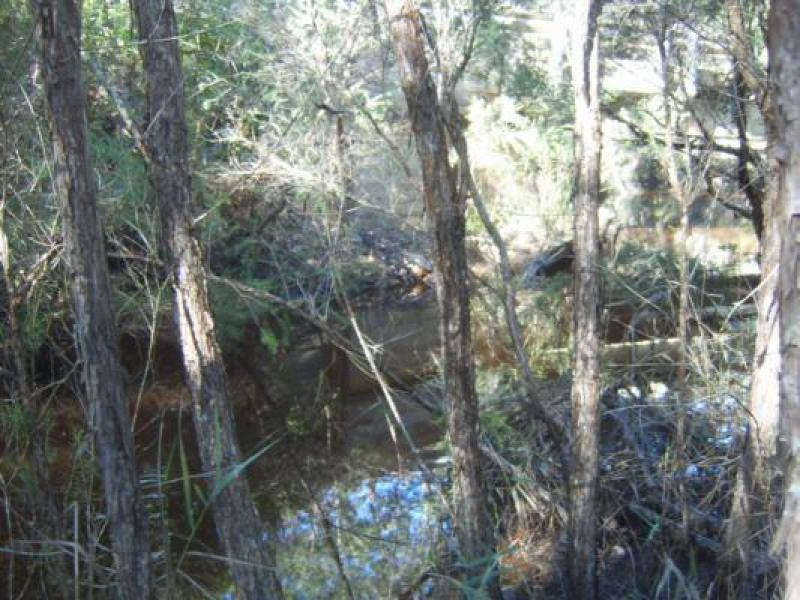 Downstream