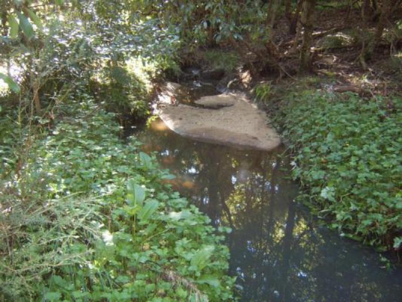 Upstream