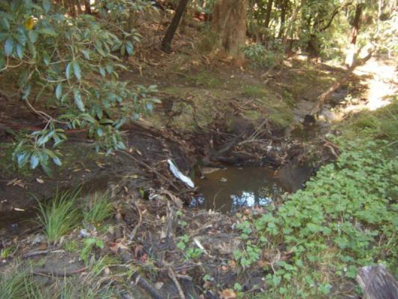Downstream