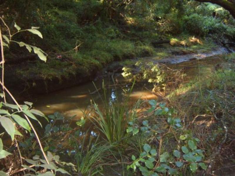 Downstream