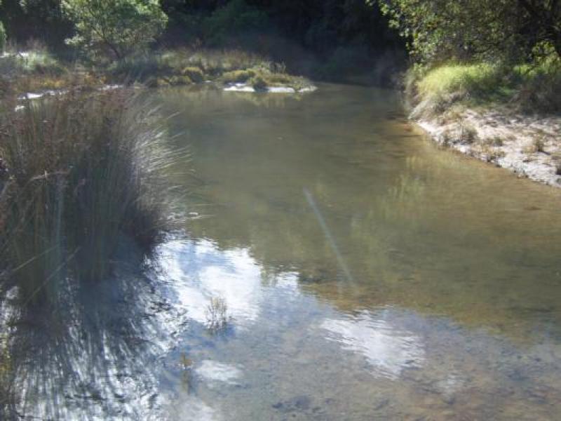 Upstream