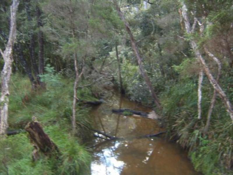 Upstream