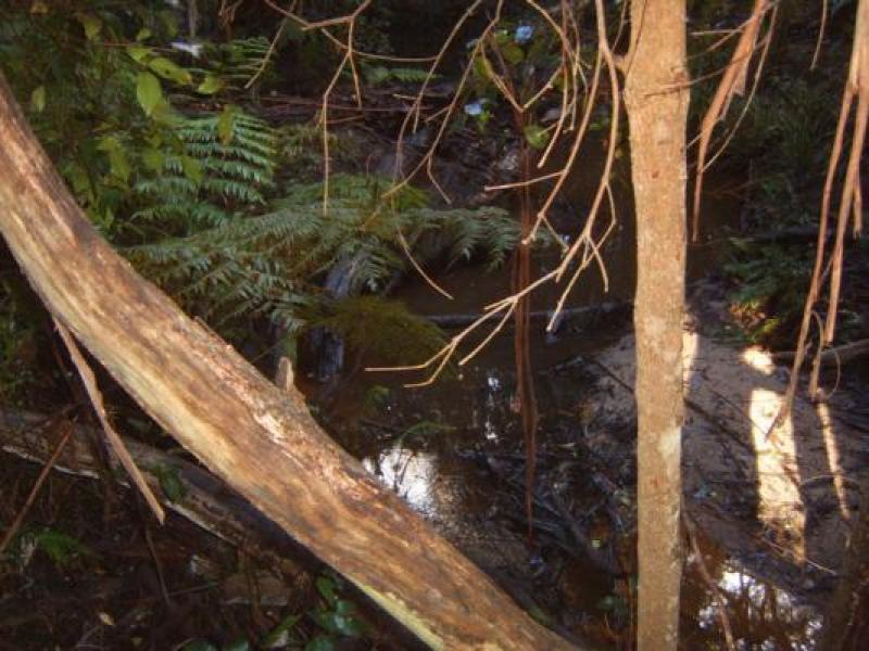 Downstream