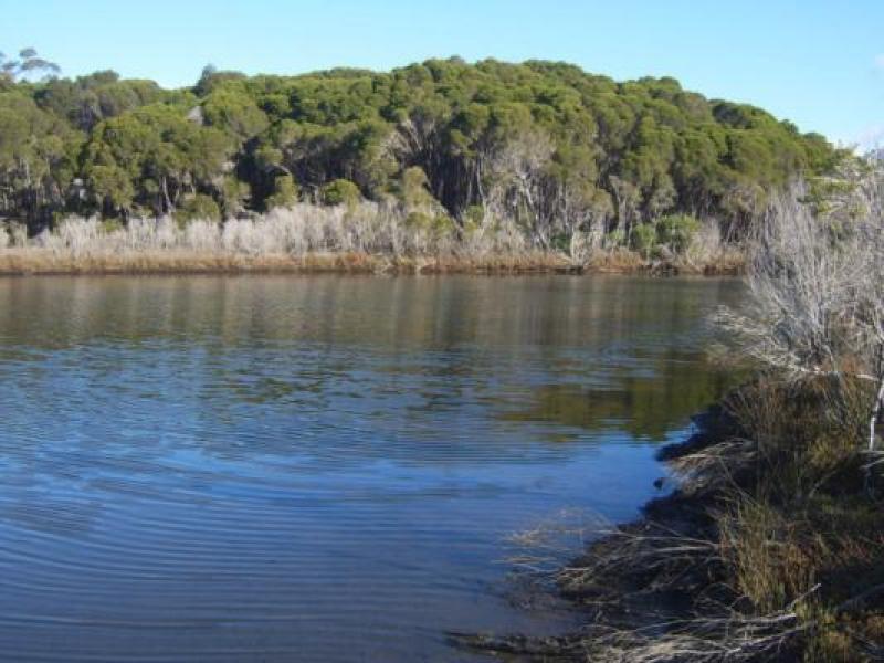 Upstream