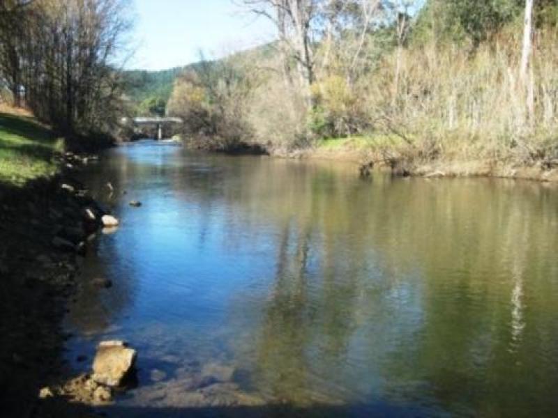 Upstream