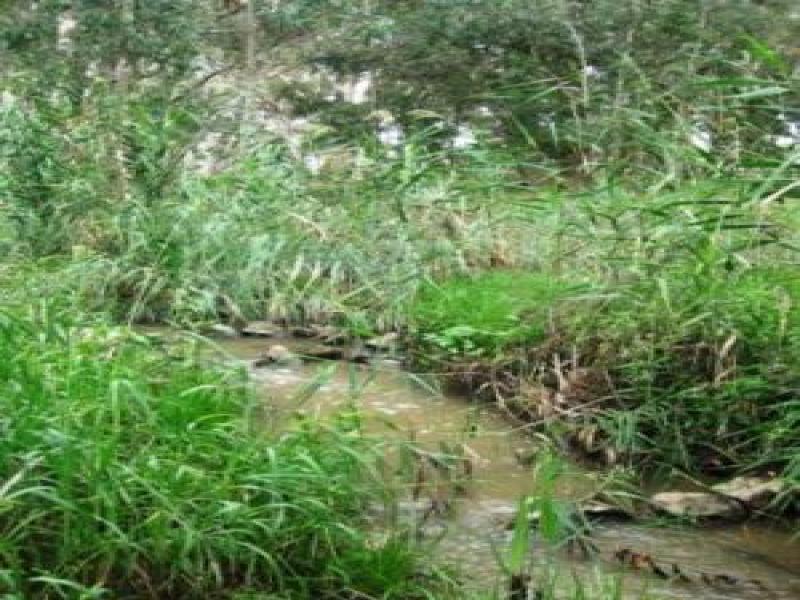 Upstream