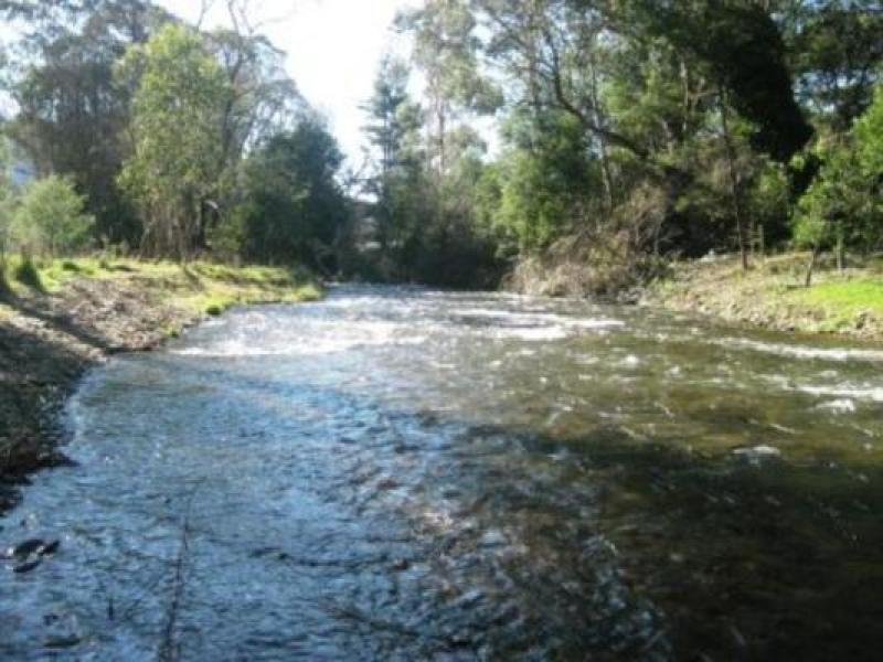 Downstream