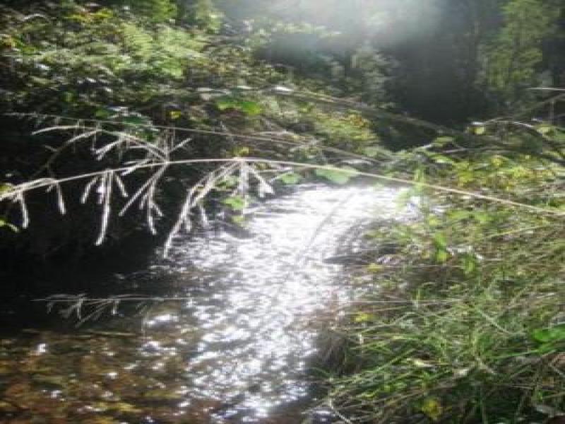 Upstream