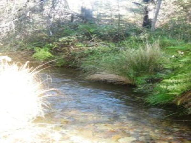 Downstream
