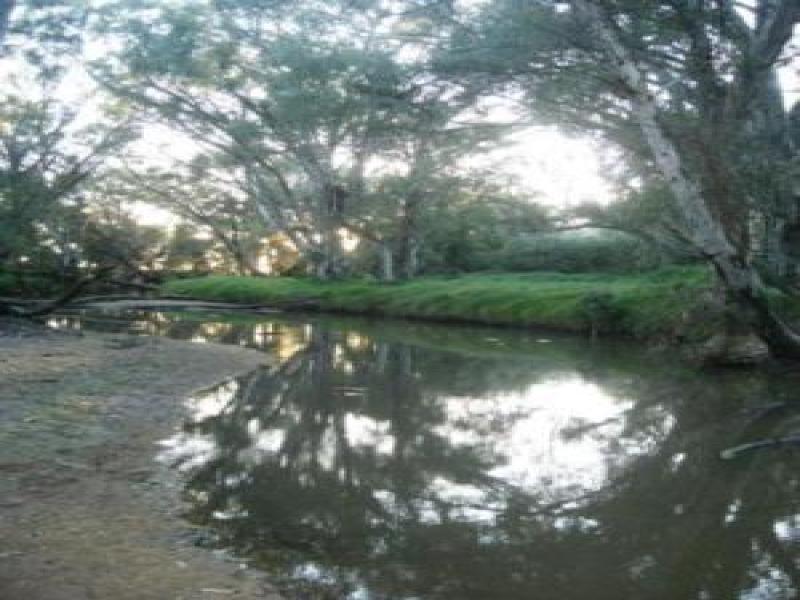 Upstream