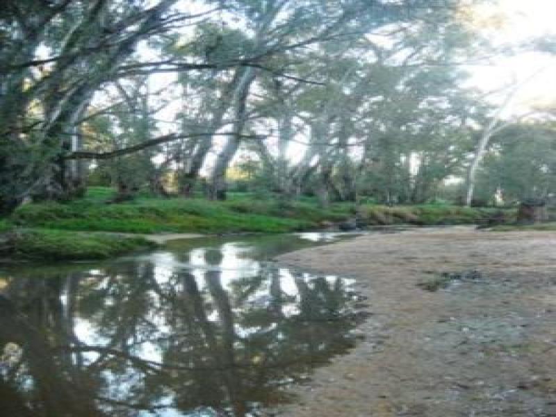 Downstream