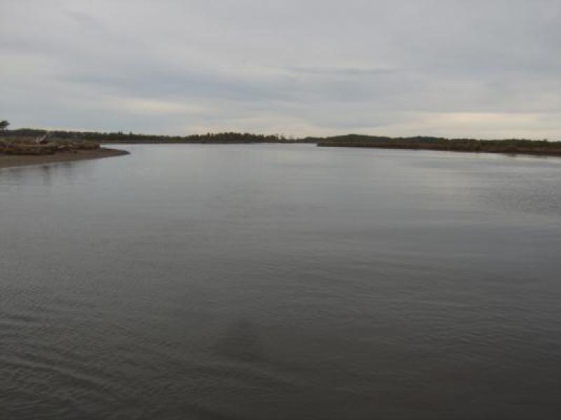 Downstream