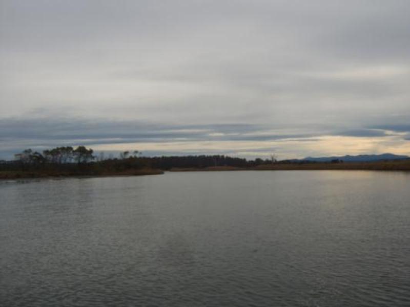 Upstream