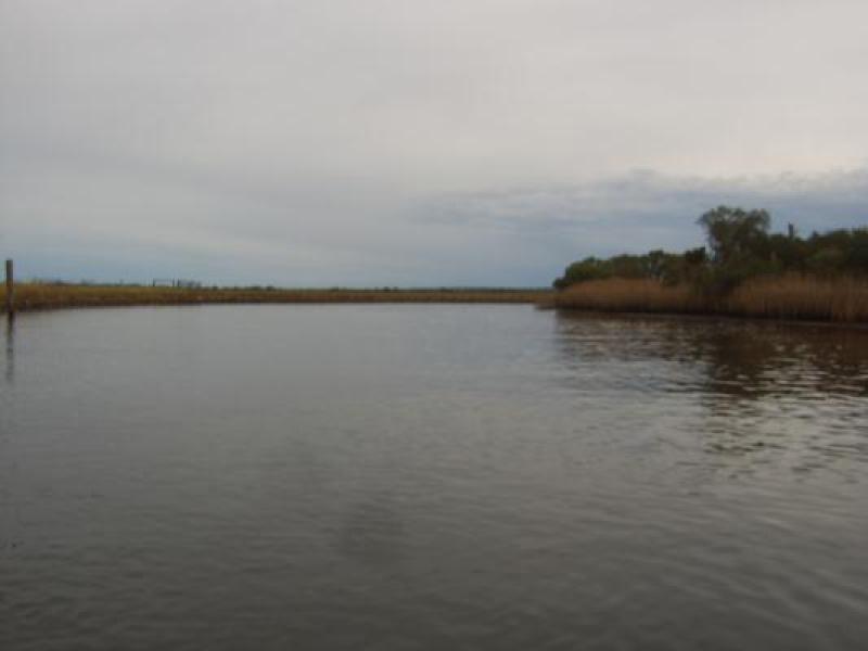 Downstream
