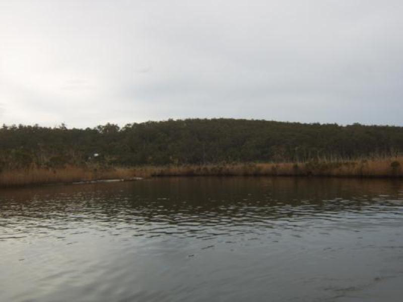 Upstream