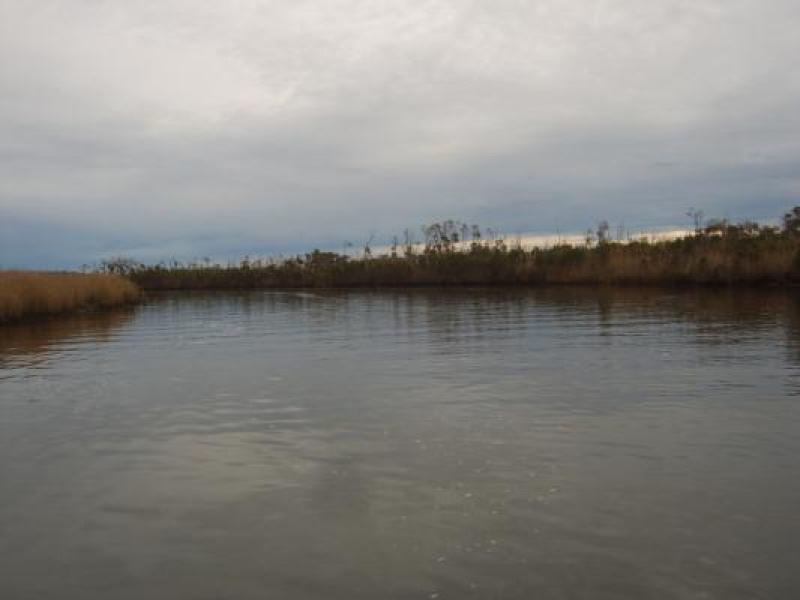 Downstream