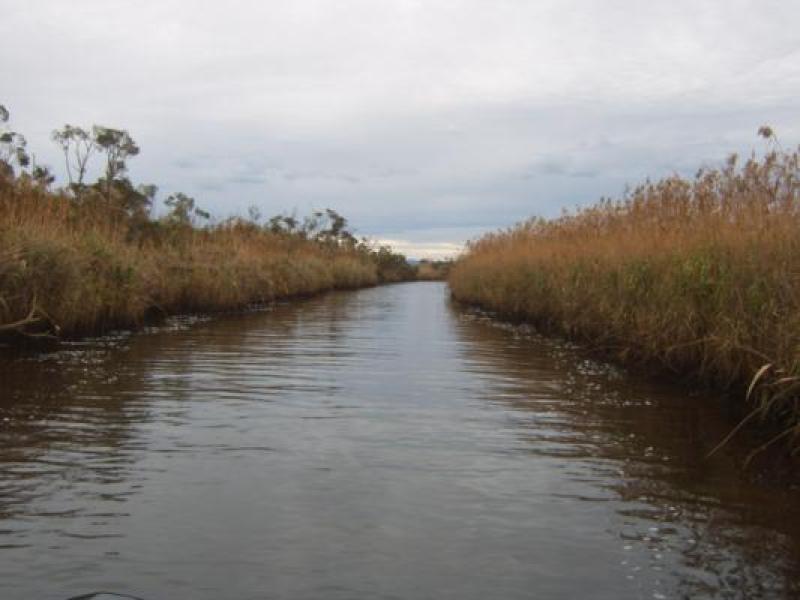 Downstream