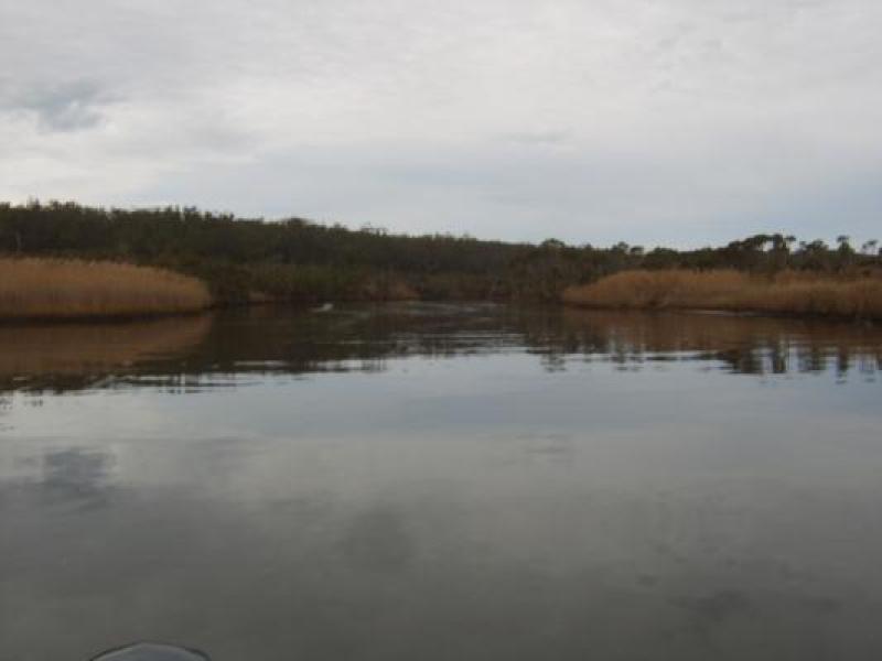 Downstream