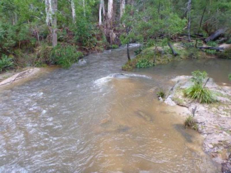 Upstream
