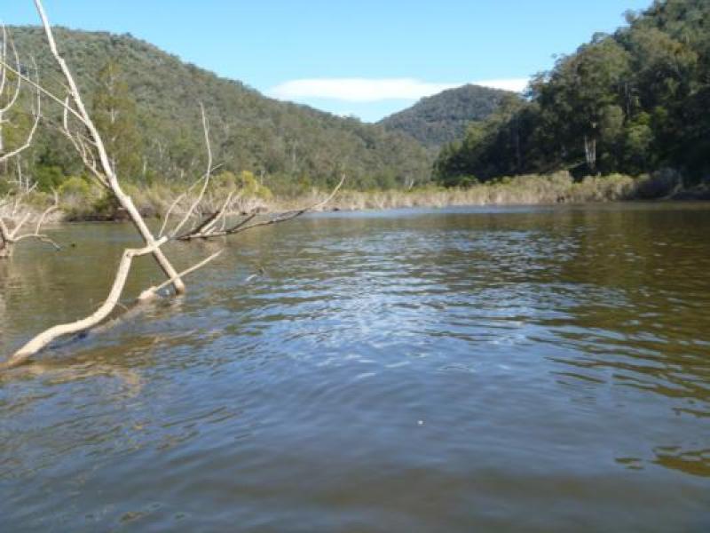 Downstream