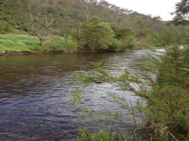 Upstream