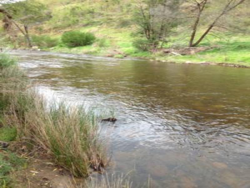 Downstream