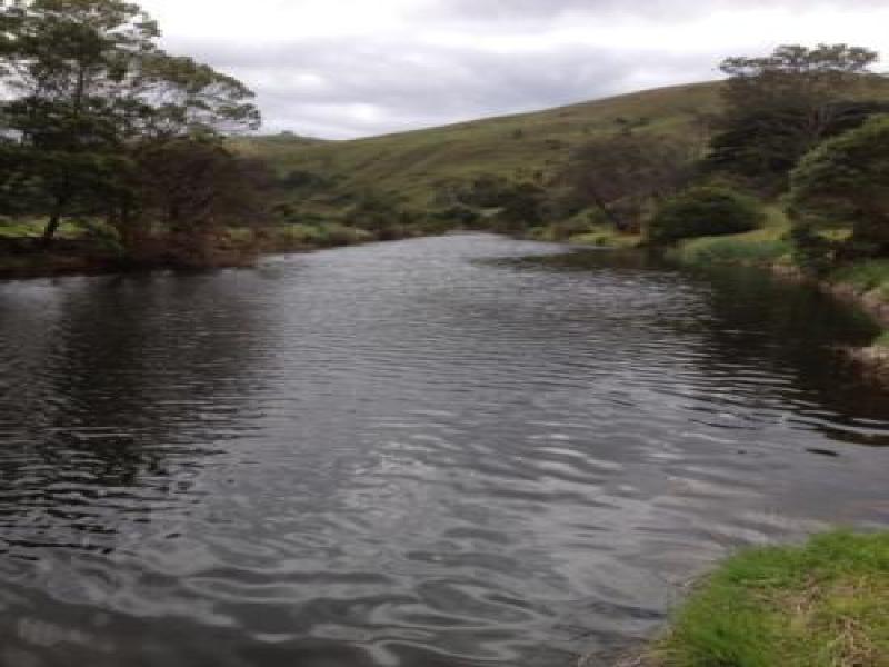 Upstream