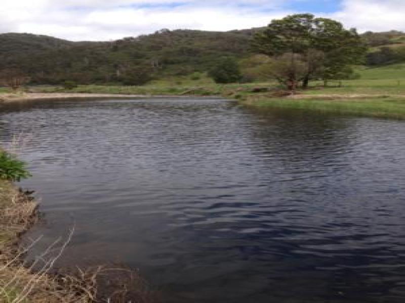 Downstream