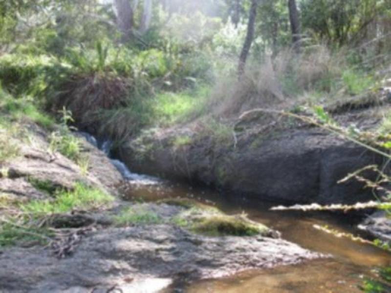 Upstream