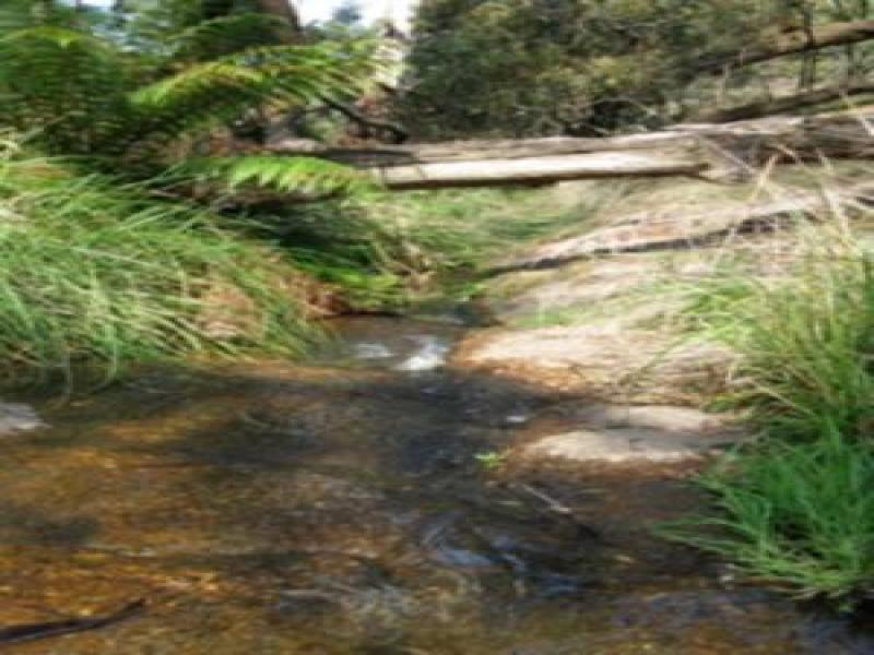 Downstream
