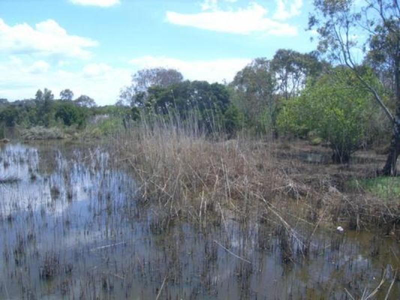 Upstream