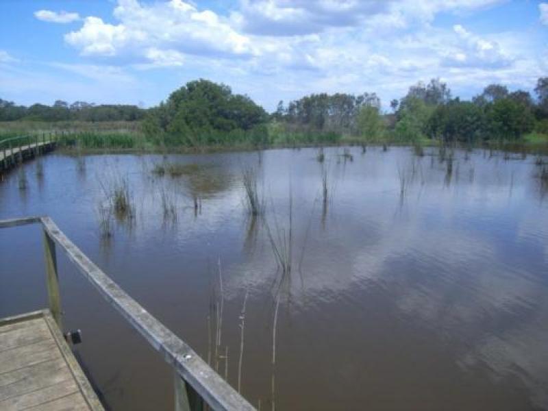 Downstream