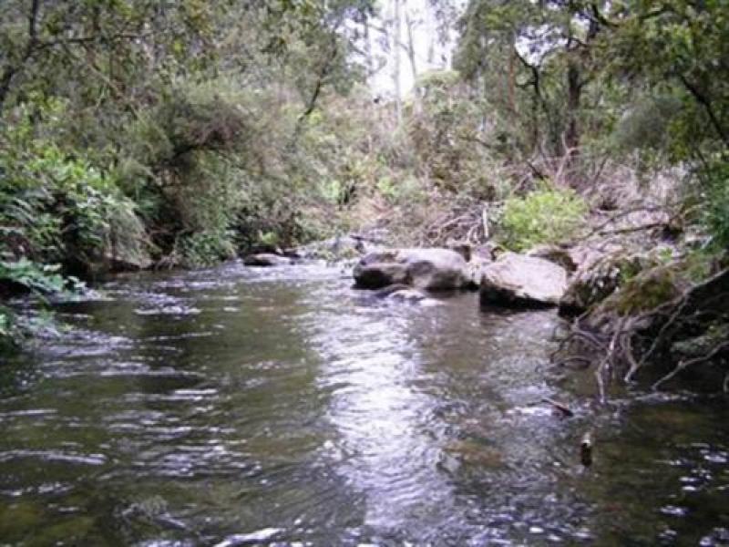 Upstream