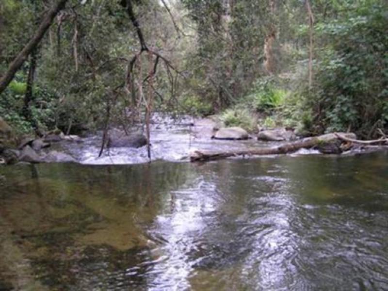 Downstream