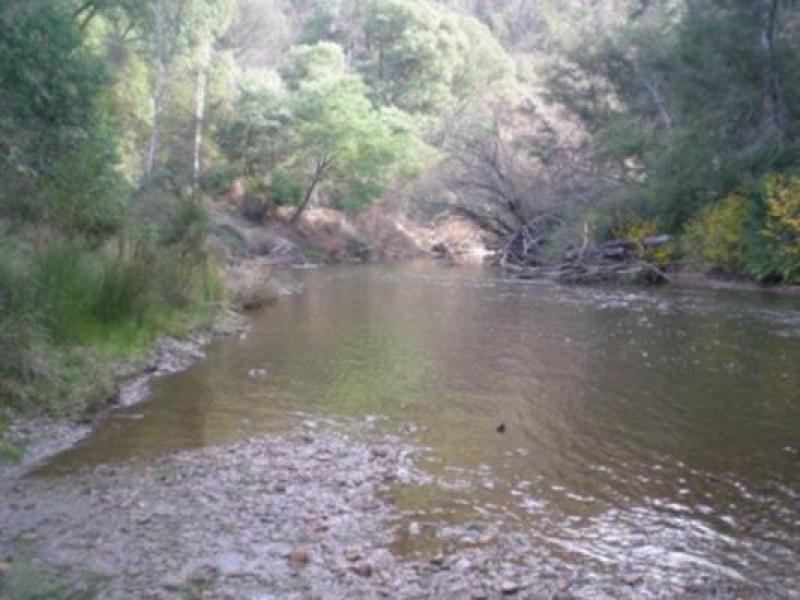 Downstream