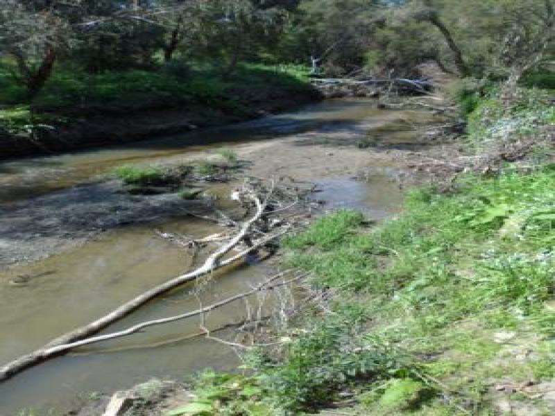 Downstream