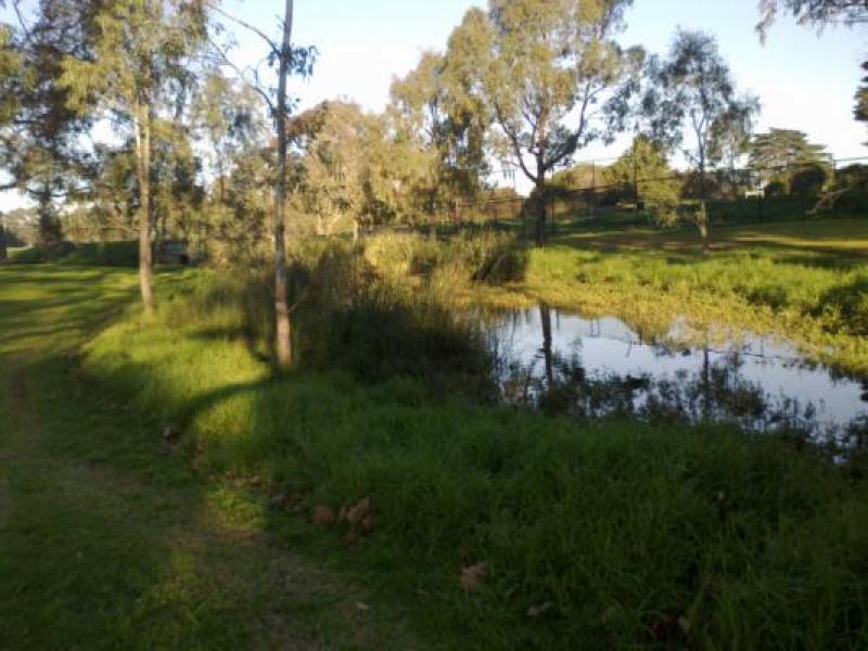 Upstream